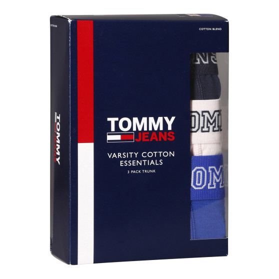 3PACK Boxershorts til mænd Tommy Hilfiger flerfarvet (UM0UM02850 0T8)