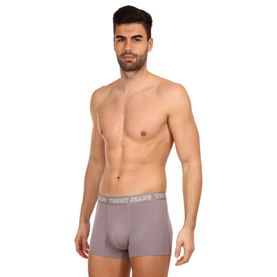 3PACK Boxershorts til mænd Tommy Hilfiger flerfarvet (UM0UM02850 0T9)