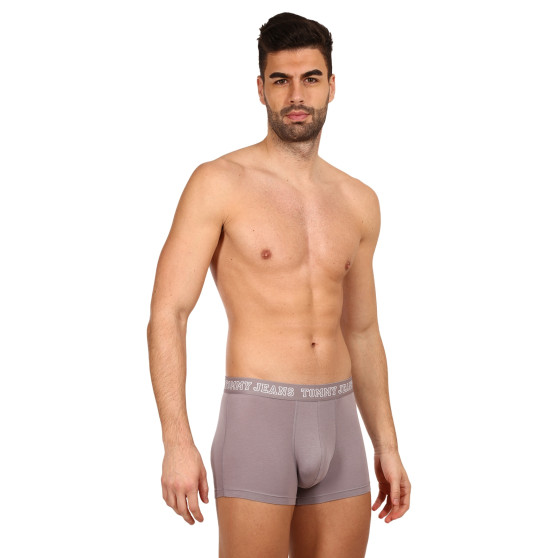 3PACK Boxershorts til mænd Tommy Hilfiger flerfarvet (UM0UM02850 0T9)