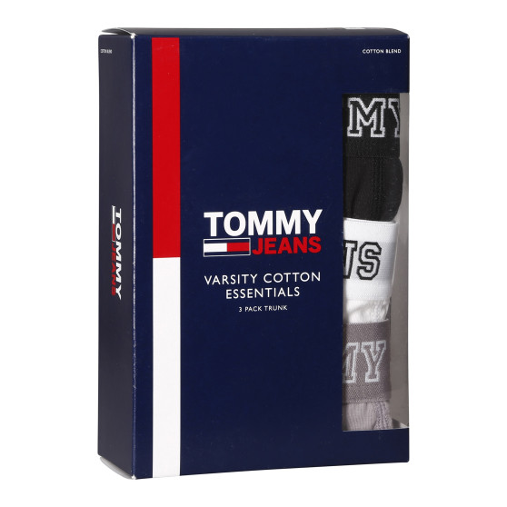 3PACK Boxershorts til mænd Tommy Hilfiger flerfarvet (UM0UM02850 0T9)