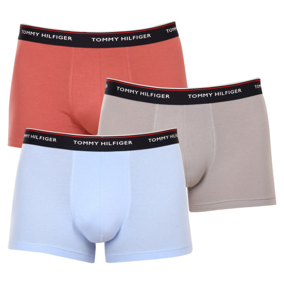 3PACK Boxershorts til mænd Tommy Hilfiger flerfarvet (1U87903842 0Y4)