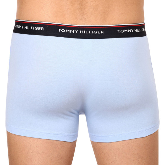 3PACK Boxershorts til mænd Tommy Hilfiger flerfarvet (1U87903842 0Y4)