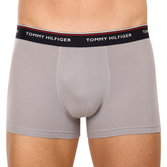 3PACK Boxershorts til mænd Tommy Hilfiger flerfarvet (1U87903842 0Y4)