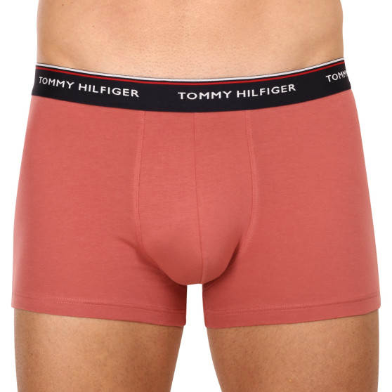 3PACK Boxershorts til mænd Tommy Hilfiger flerfarvet (1U87903842 0Y4)