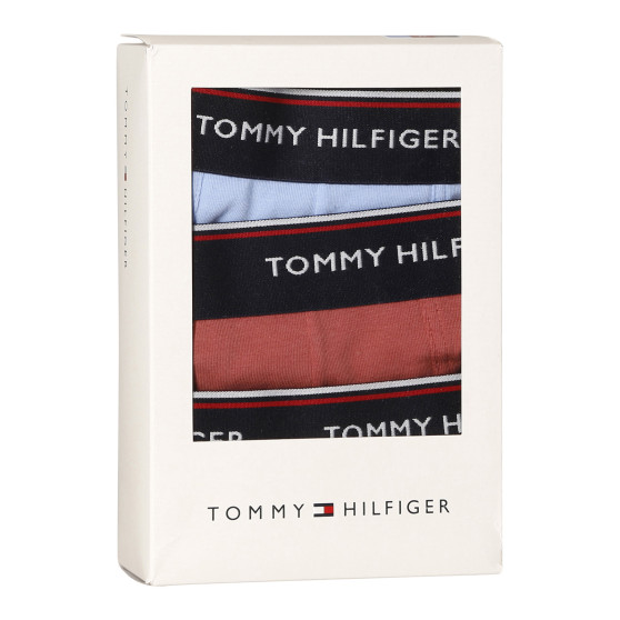 3PACK Boxershorts til mænd Tommy Hilfiger flerfarvet (1U87903842 0Y4)