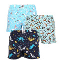 3PACK muntre Boxershorts til mænd Dedoles (LB104301459)