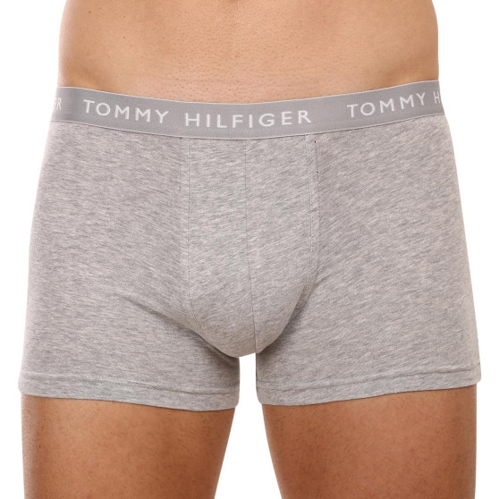 3PACK Boxershorts til mænd Tommy Hilfiger flerfarvet (UM0UM02203 0XK)