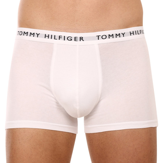 3PACK Boxershorts til mænd Tommy Hilfiger flerfarvet (UM0UM02203 0XK)