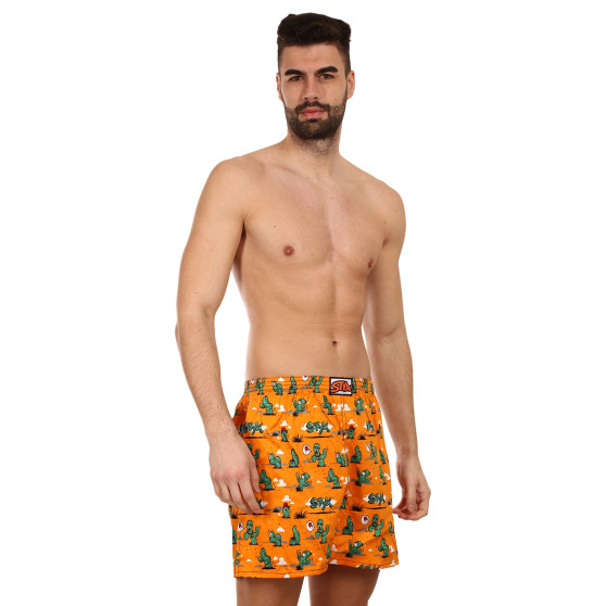 Sove Boxershorts til mænd Styx kaktus (DTP1351)