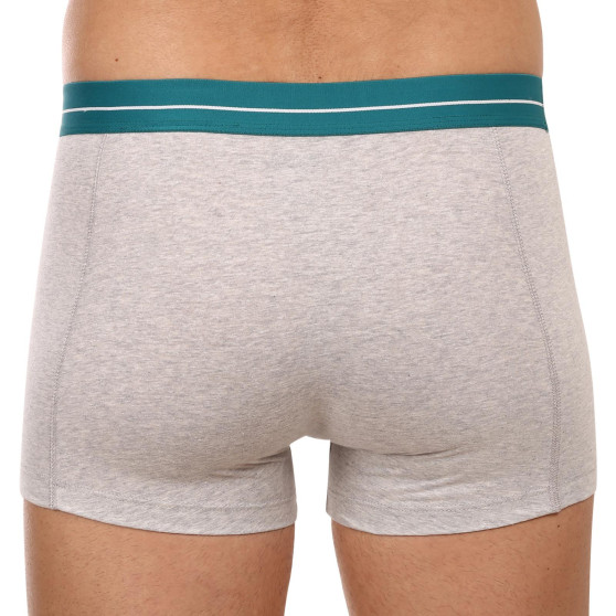 2PACK Boxershorts til mænd Puma flerfarvet (701221415 004)