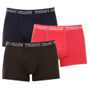 3PACK Boxershorts til mænd Tommy Hilfiger flerfarvet (UM0UM02850 0T0)