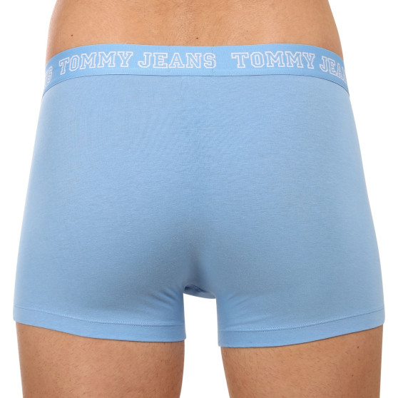 3PACK Boxershorts til mænd Tommy Hilfiger flerfarvet (UM0UM02850 0T2)