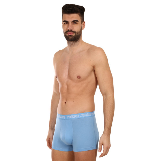 3PACK Boxershorts til mænd Tommy Hilfiger flerfarvet (UM0UM02850 0T2)