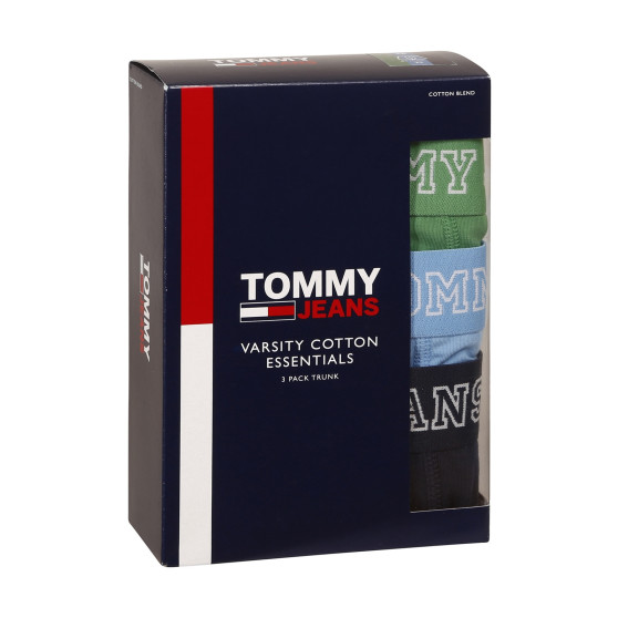 3PACK Boxershorts til mænd Tommy Hilfiger flerfarvet (UM0UM02850 0T2)