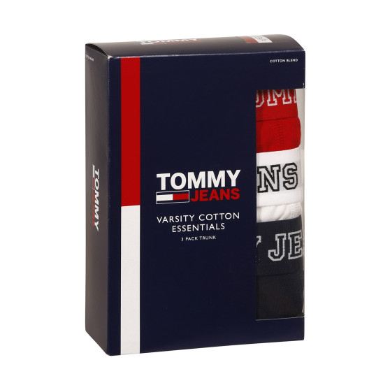 3PACK Boxershorts til mænd Tommy Hilfiger flerfarvet (UM0UM02850 0T6)