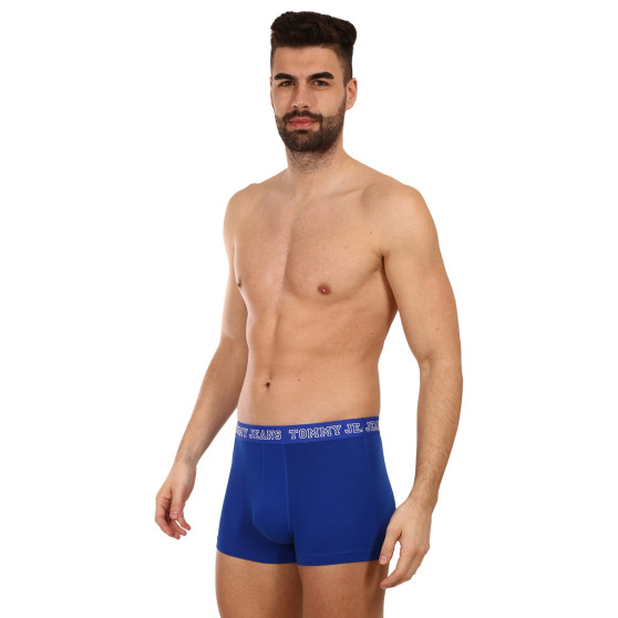 3PACK Boxershorts til mænd Tommy Hilfiger flerfarvet (UM0UM02850 0TV)