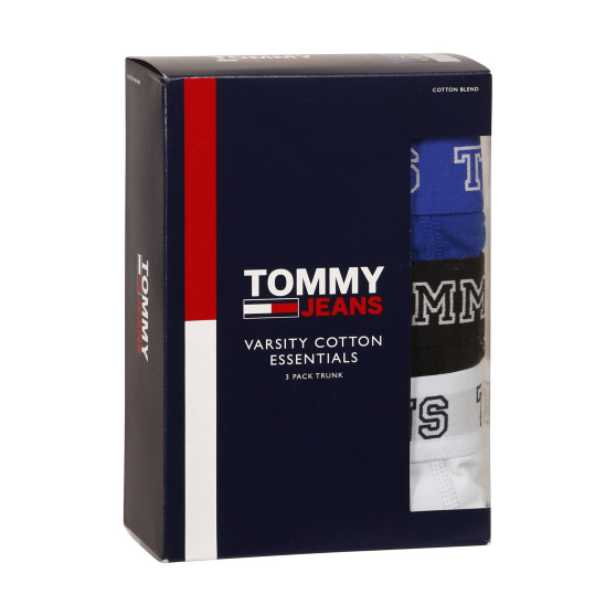 3PACK Boxershorts til mænd Tommy Hilfiger flerfarvet (UM0UM02850 0TV)