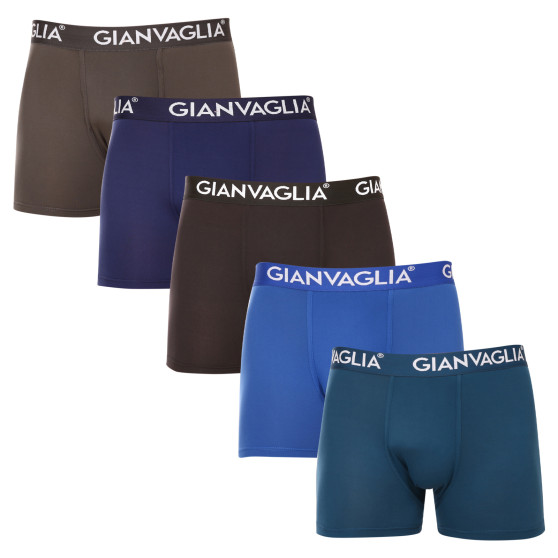 5PACK Boxershorts til mænd Gianvaglia flerfarvet (GVG-5007)