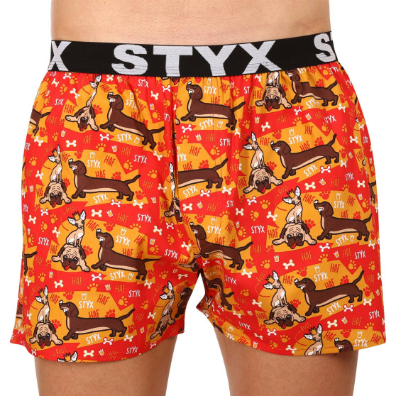 10PACK Boxershorts til mænd Styx art sports gummi flerfarvet (10B131527941508)