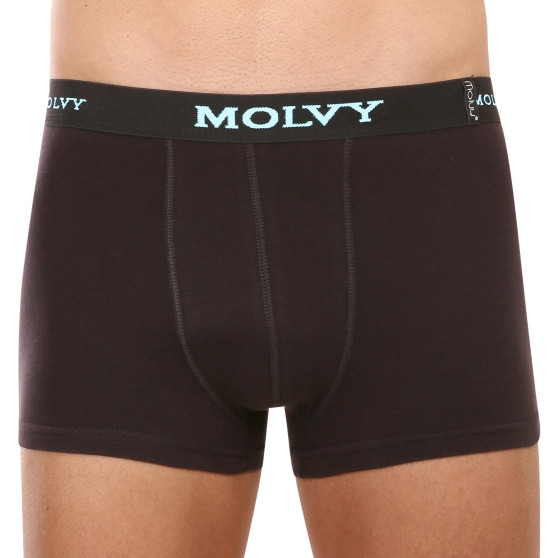 2PACK Boxershorts til mænd Molvy flerfarvet (KP-081/B-BEU)