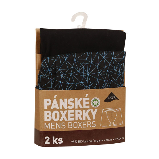 2PACK Boxershorts til mænd Molvy flerfarvet (KP-081/B-BEU)