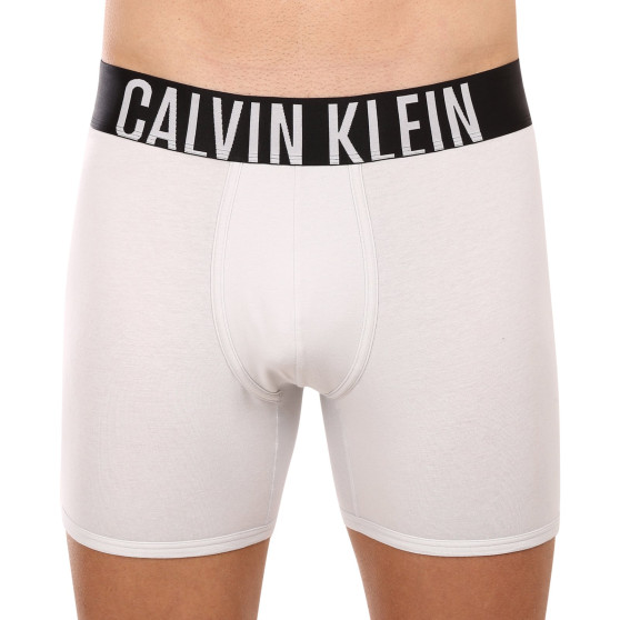 2PACK Boxershorts til mænd Calvin Klein flerfarvet (NB2603A-C2D)