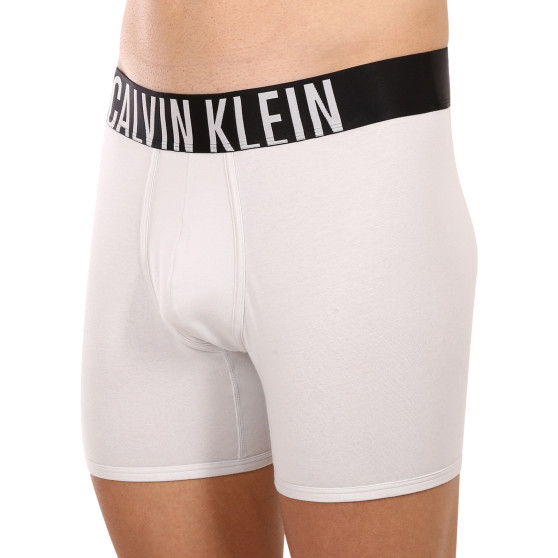 2PACK Boxershorts til mænd Calvin Klein flerfarvet (NB2603A-C2D)