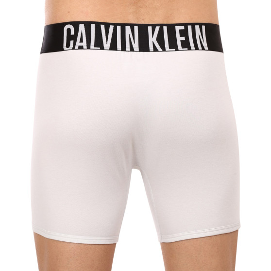 2PACK Boxershorts til mænd Calvin Klein flerfarvet (NB2603A-C2D)