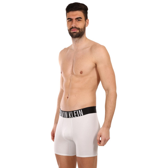 2PACK Boxershorts til mænd Calvin Klein flerfarvet (NB2603A-C2D)