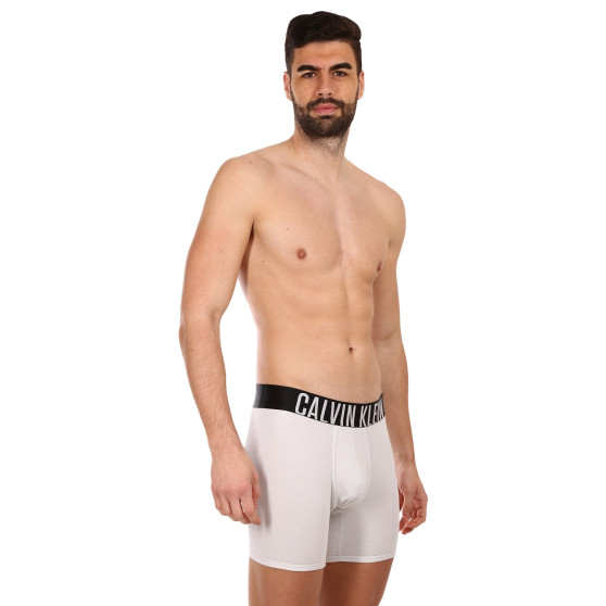 2PACK Boxershorts til mænd Calvin Klein flerfarvet (NB2603A-C2D)