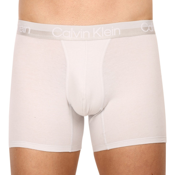 3PACK Boxershorts til mænd Calvin Klein flerfarvet (NB2971A-CBC)