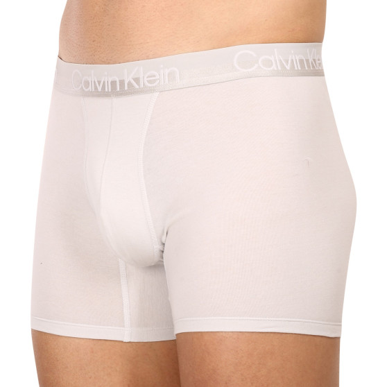 3PACK Boxershorts til mænd Calvin Klein flerfarvet (NB2971A-CBC)