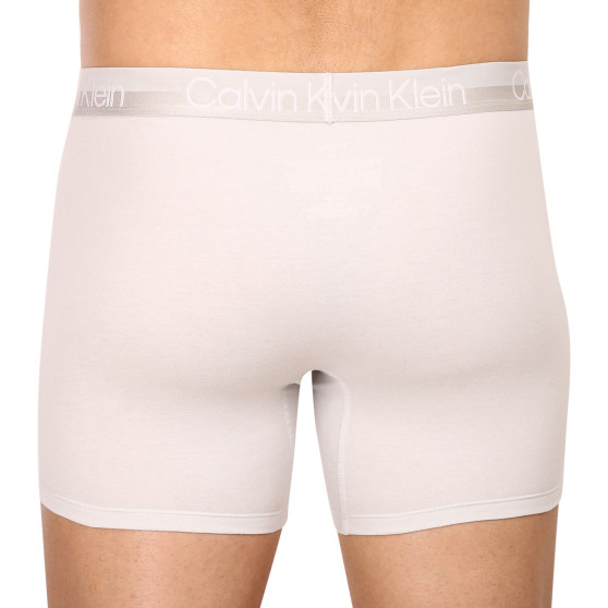 3PACK Boxershorts til mænd Calvin Klein flerfarvet (NB2971A-CBC)