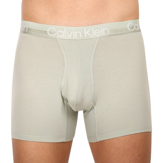 3PACK Boxershorts til mænd Calvin Klein flerfarvet (NB2971A-CBC)