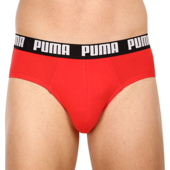 2PACK Trusser til mænd Puma flerfarvet (521030001 005)