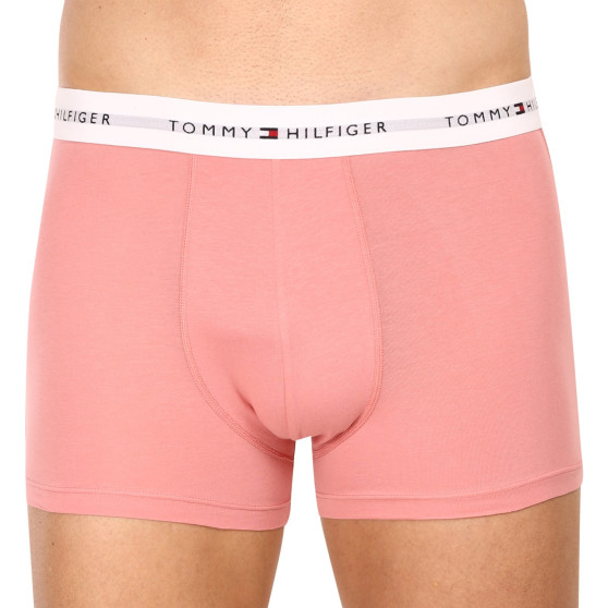 3PACK Boxershorts til mænd Tommy Hilfiger flerfarvet (UM0UM02761 0R4)