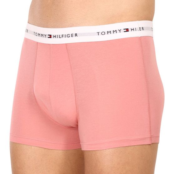 3PACK Boxershorts til mænd Tommy Hilfiger flerfarvet (UM0UM02761 0R4)