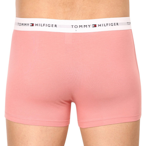 3PACK Boxershorts til mænd Tommy Hilfiger flerfarvet (UM0UM02761 0R4)