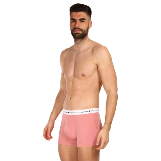 3PACK Boxershorts til mænd Tommy Hilfiger flerfarvet (UM0UM02761 0R4)