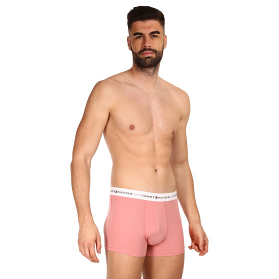 3PACK Boxershorts til mænd Tommy Hilfiger flerfarvet (UM0UM02761 0R4)