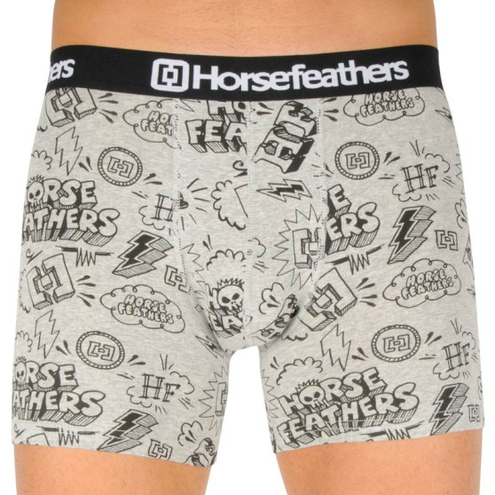 3PACK Boxershorts til mænd Horsefeathers Sidney (AM70Y164BD)