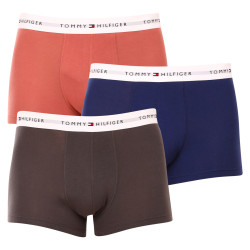 3PACK Boxershorts til mænd Tommy Hilfiger flerfarvet (UM0UM02761 0TF)