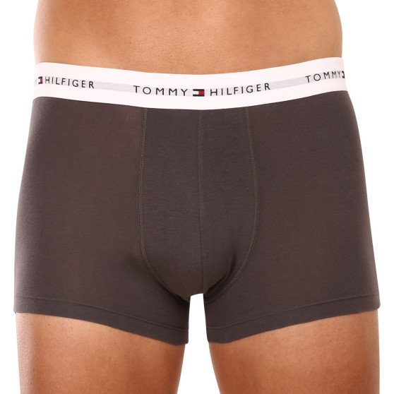 3PACK Boxershorts til mænd Tommy Hilfiger flerfarvet (UM0UM02761 0TF)