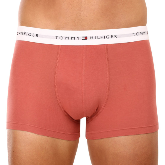 3PACK Boxershorts til mænd Tommy Hilfiger flerfarvet (UM0UM02761 0TF)