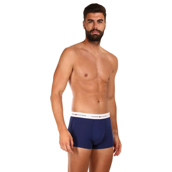 3PACK Boxershorts til mænd Tommy Hilfiger flerfarvet (UM0UM02761 0TF)