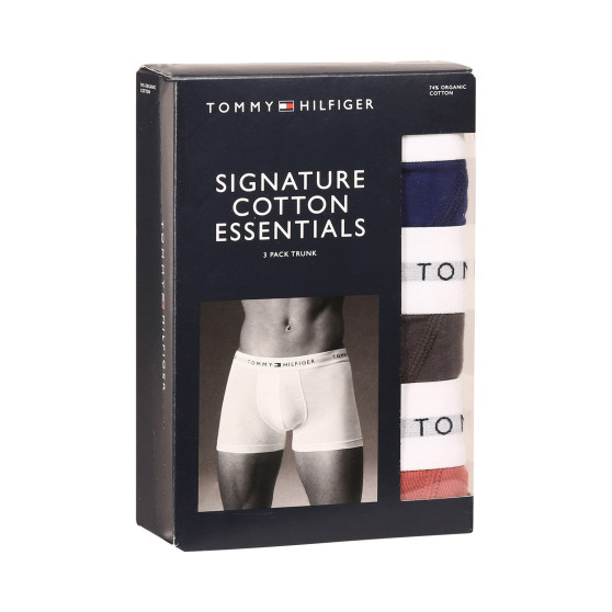 3PACK Boxershorts til mænd Tommy Hilfiger flerfarvet (UM0UM02761 0TF)