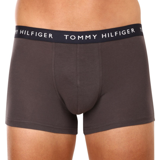 3PACK Boxershorts til mænd Tommy Hilfiger flerfarvet (UM0UM02203 0XX)