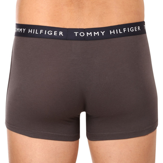 3PACK Boxershorts til mænd Tommy Hilfiger flerfarvet (UM0UM02203 0XX)