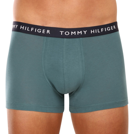 3PACK Boxershorts til mænd Tommy Hilfiger flerfarvet (UM0UM02203 0XX)