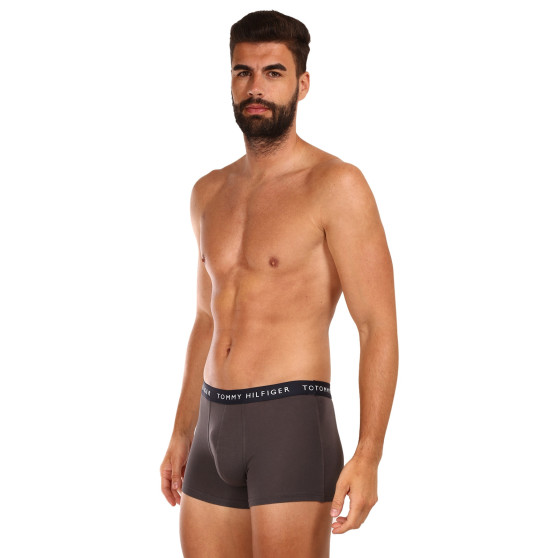 3PACK Boxershorts til mænd Tommy Hilfiger flerfarvet (UM0UM02203 0XX)